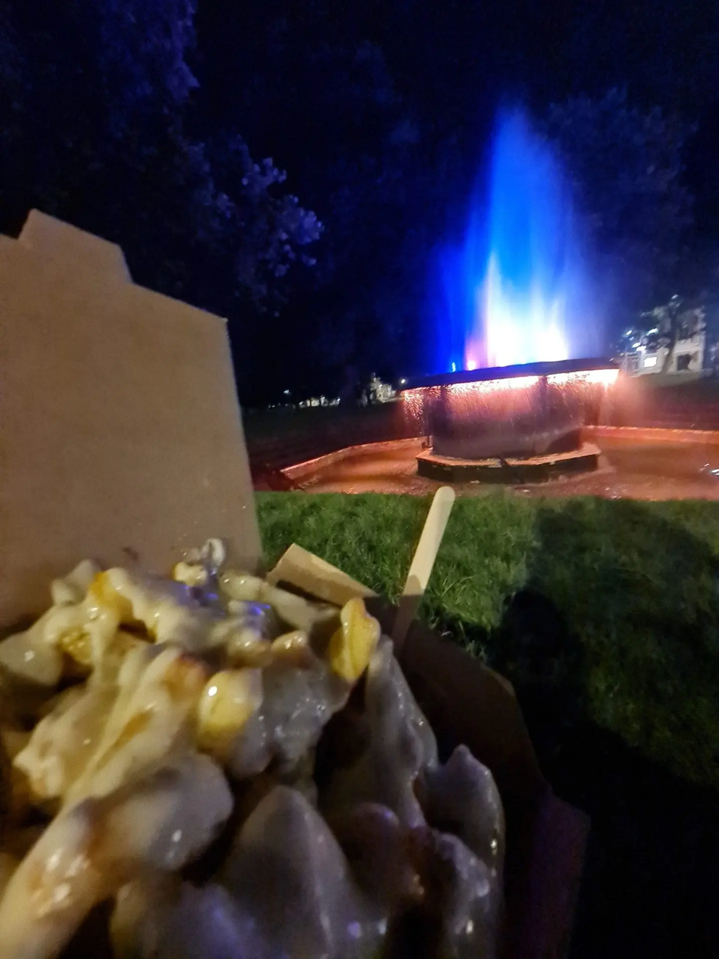Photo of A box of poutine with cheese curds and gravy in front of a lit fountain at night. | Wander Sober