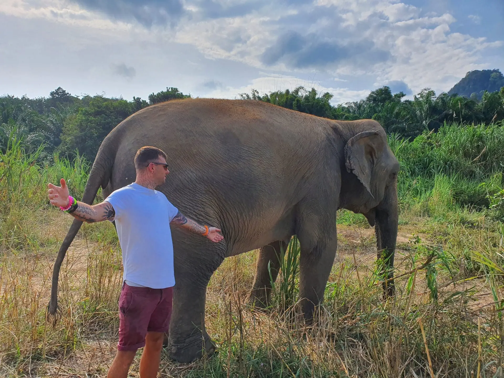 The Volks: A Journey Through Brighton's Rave Scene and My Sobriety 2 Photo of A man with tattoos standing beside a large elephant in a grassy area. | Wander Sober