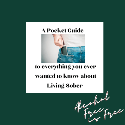 Photo of Book cover titled 'A Pocket Guide to Living Sober' with a person placing a phone in their back pocket. | Wander Sober