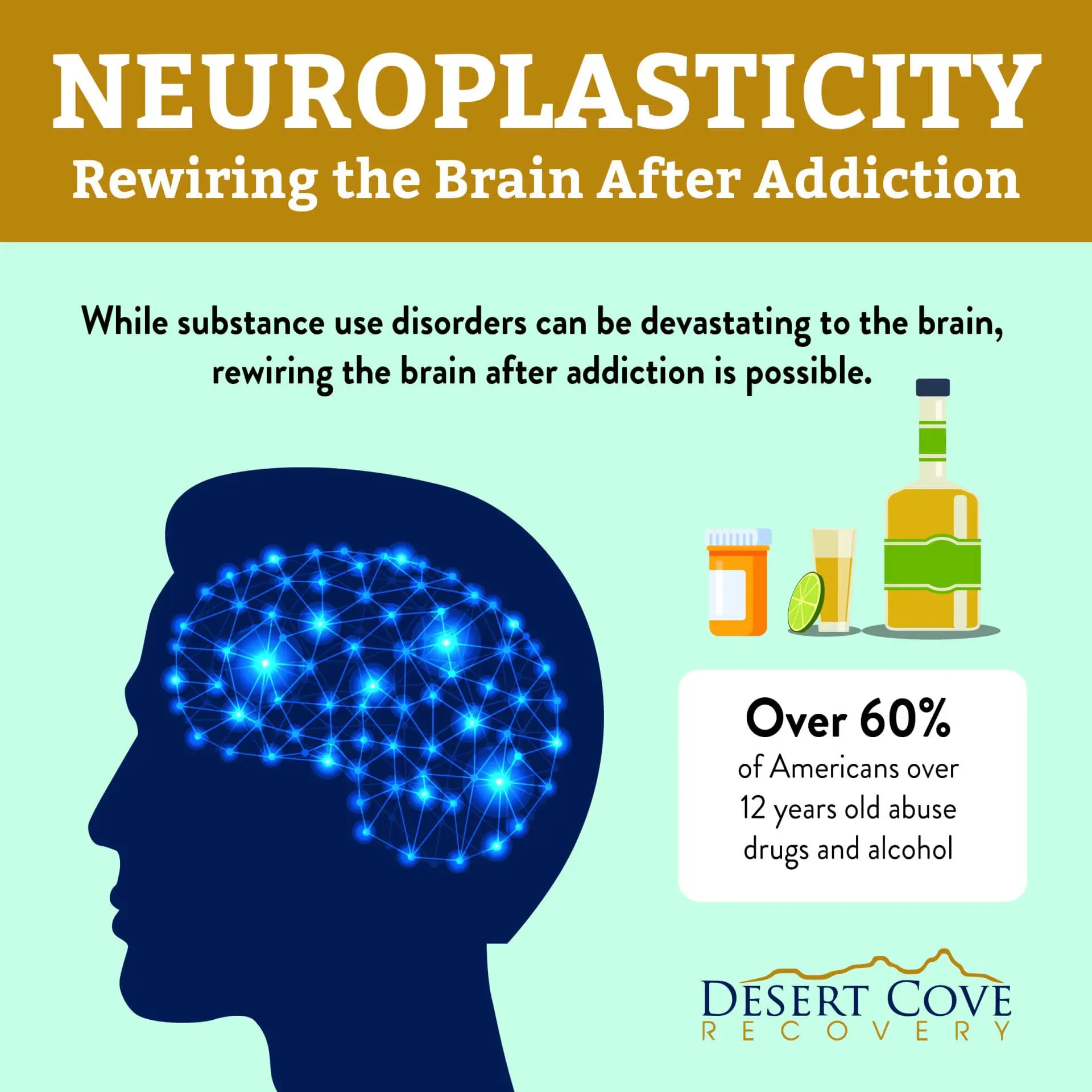 Photo of Infographic illustrating neuroplasticity and its role in brain recovery after addiction, featuring a human silhouette and alcohol imagery. | Wander Sober