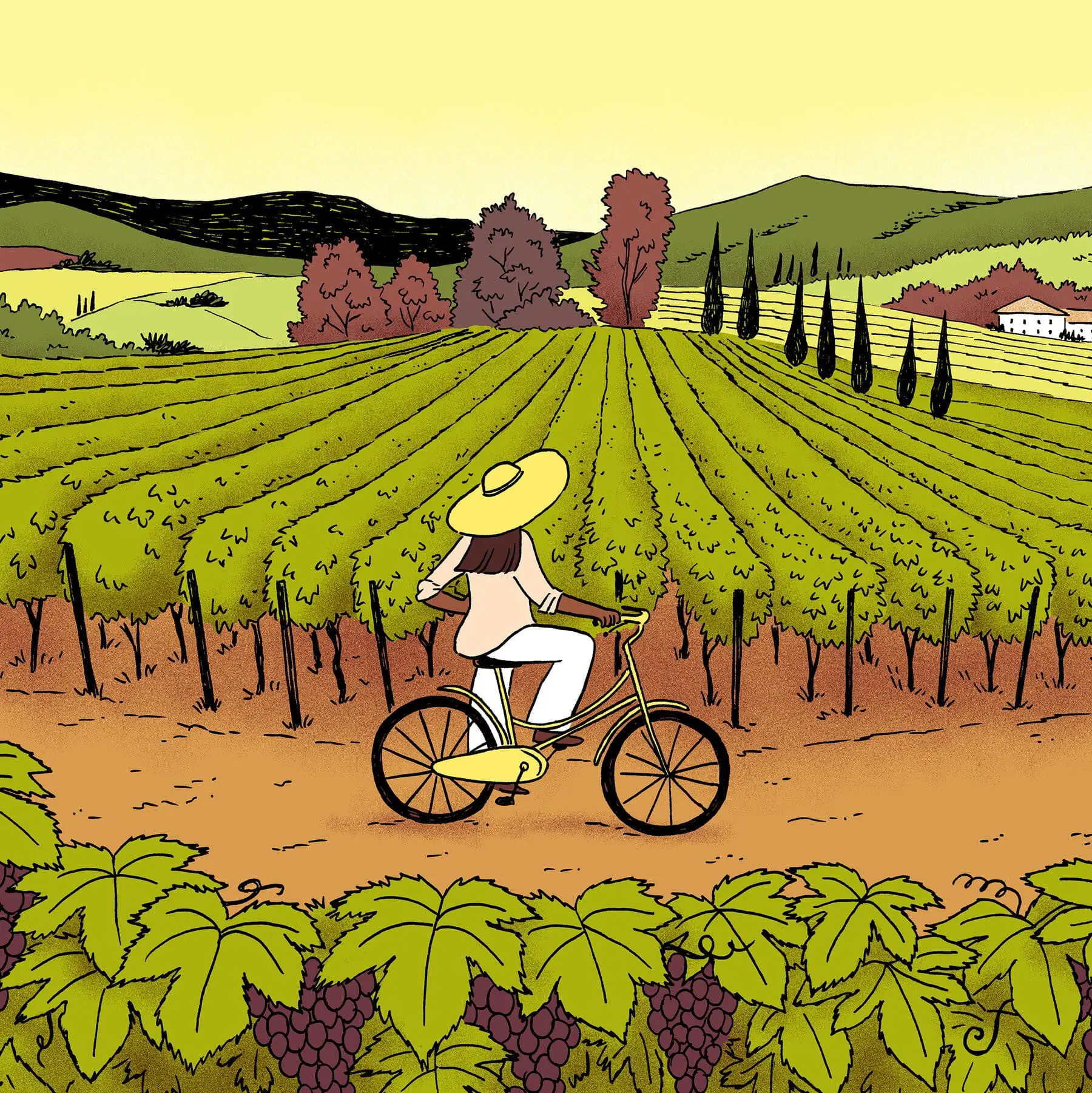 Photo of Illustration of a person riding a bicycle through a vineyard with grapevines and hills in the background. | Wander Sober
