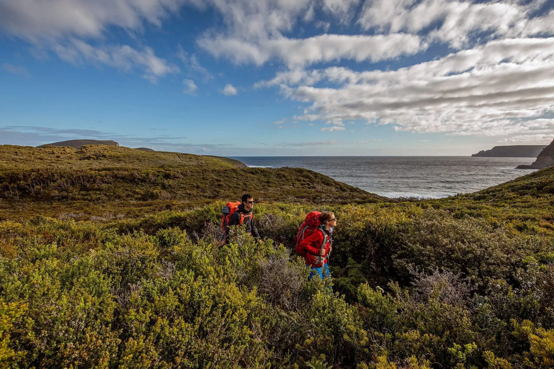 Two hikers with backpacks walking through a coastal landscape with greenery and ocean in the background.