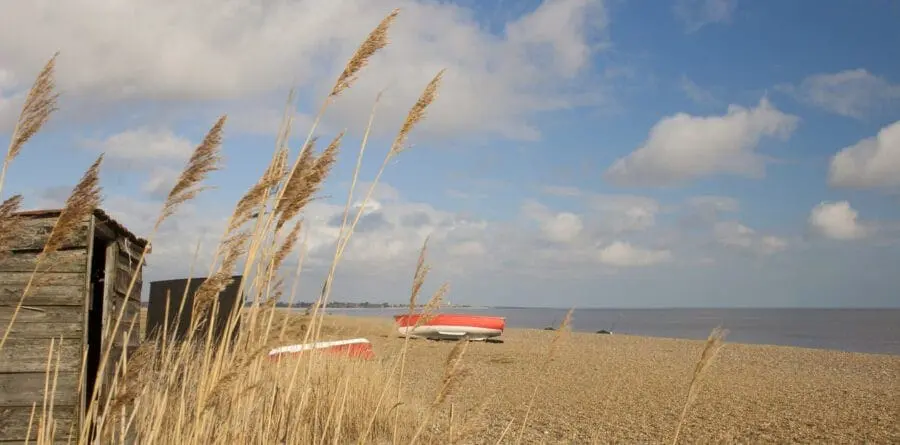 Photo of A beach scene featuring boats on the shore and tall reeds in the foreground. | Wander Sober