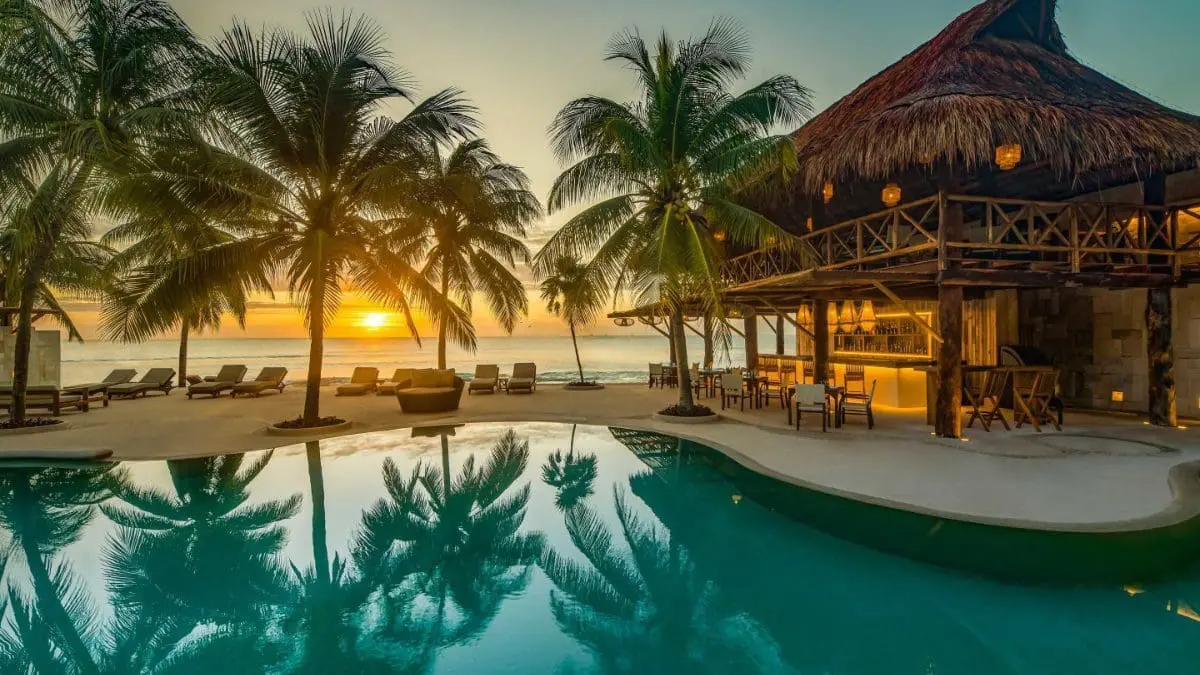 Photo of Tropical resort featuring a pool, palm trees, and a sunset over the ocean. | Wander Sober