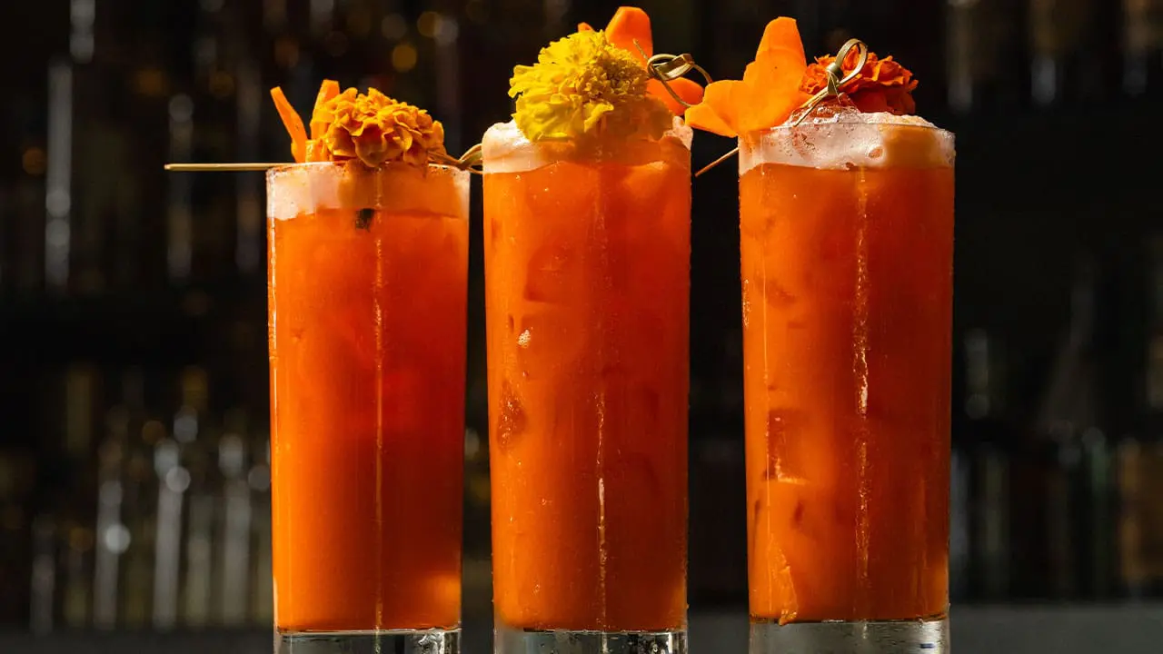 Photo of Three tall glasses of orange cocktails garnished with flowers and served on a bar counter. | Wander Sober