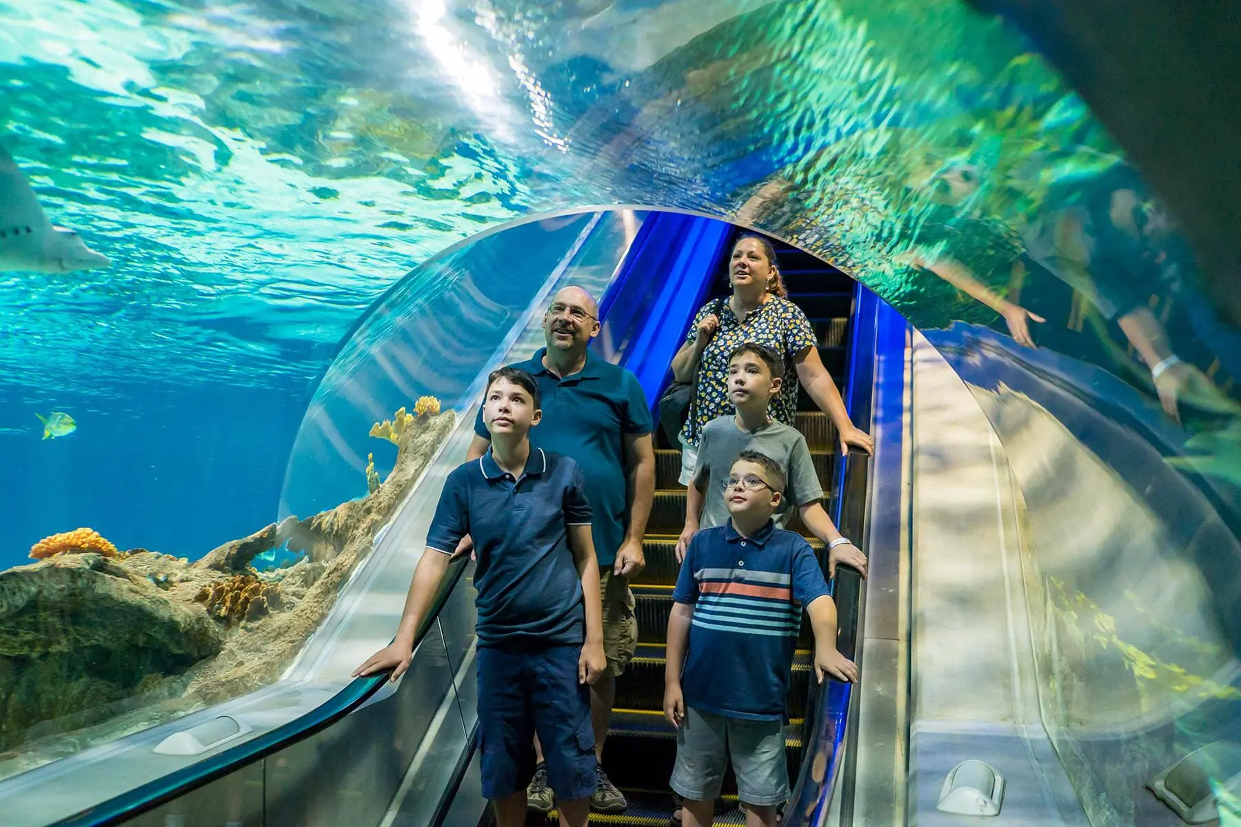 Photo of Family of four standing on an escalator in an aquarium viewing tunnel with marine life above. | Wander Sober
