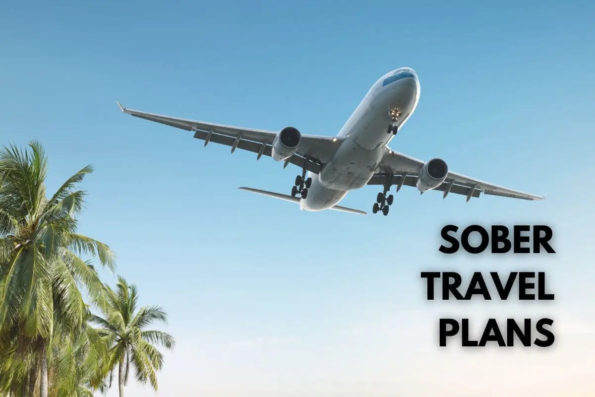 Photo of Airplane flying in a clear sky above palm trees with text overlay 'Sober Travel Plans'. | Wander Sober