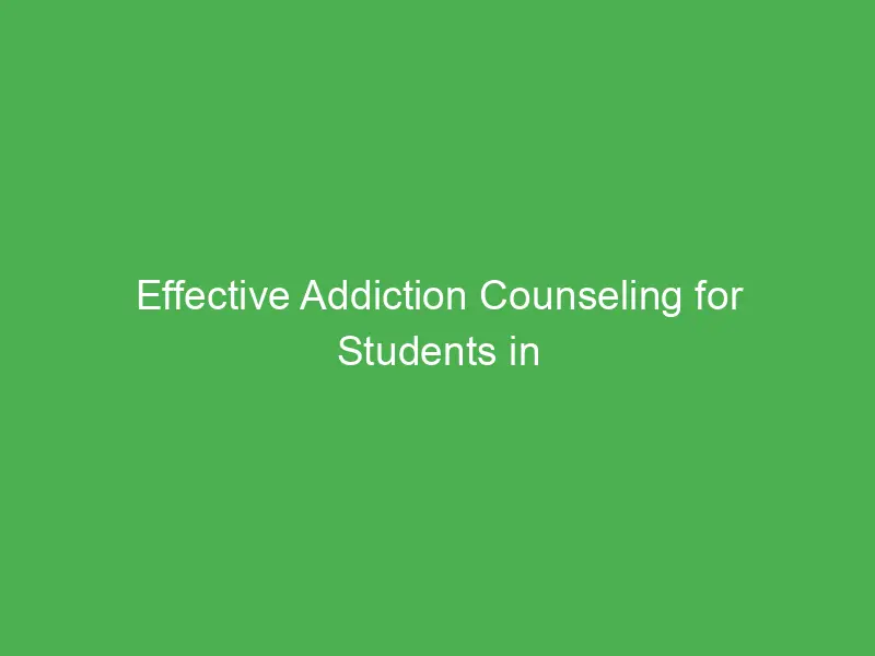 effective addiction counseling for students in california a path to recovery and success 54952