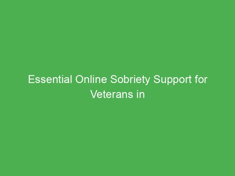Essential Online Sobriety Support for Veterans in Toronto: Resources and Guidance
