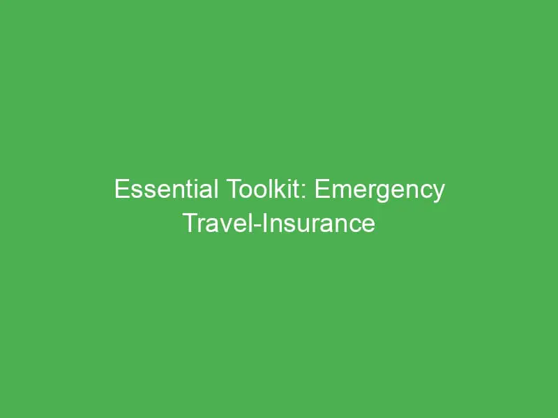 essential toolkit emergency travel insurance checklist for af travellers heading to africa 54224