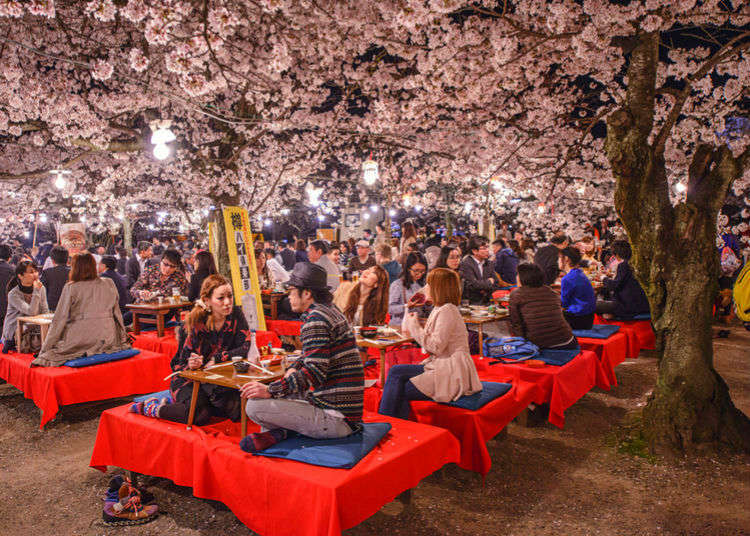 Hanami in Japan: Cherry Blossoms, Picnics, and Alcohol-Free Gatherings - How I Found Authentic Joy in Sober Sakura Season 5 hanami-in-japan-cherry-blossoms-picnics-and-alcohol-free-gatherings-how-i-found-authentic-joy-in-sober-sakura-season