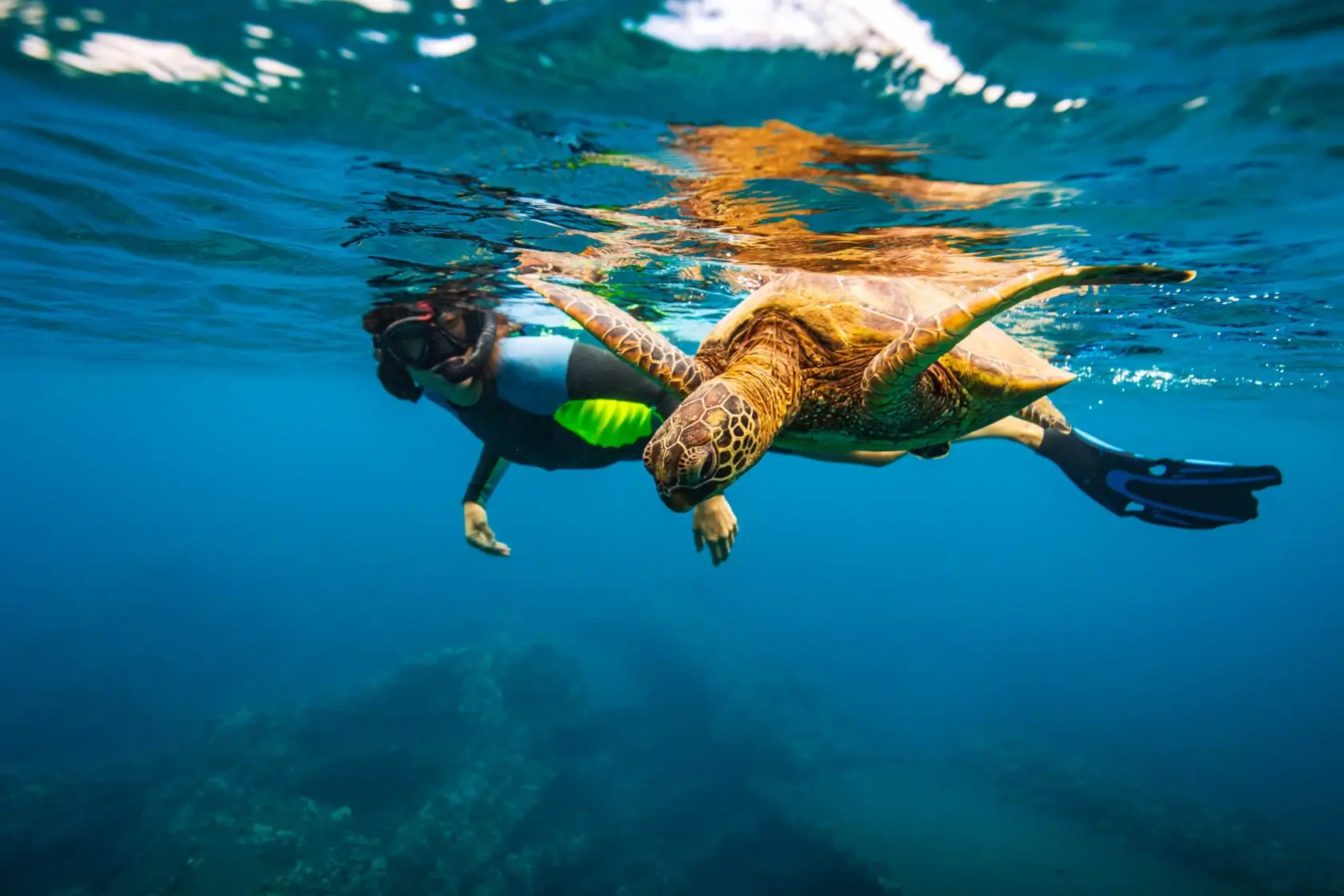 Photo of A diver in a wetsuit swimming alongside a sea turtle underwater in clear blue water. | Wander Sober