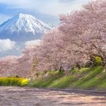 discover sober city guide shizuoka japan wellness culture nature awaits