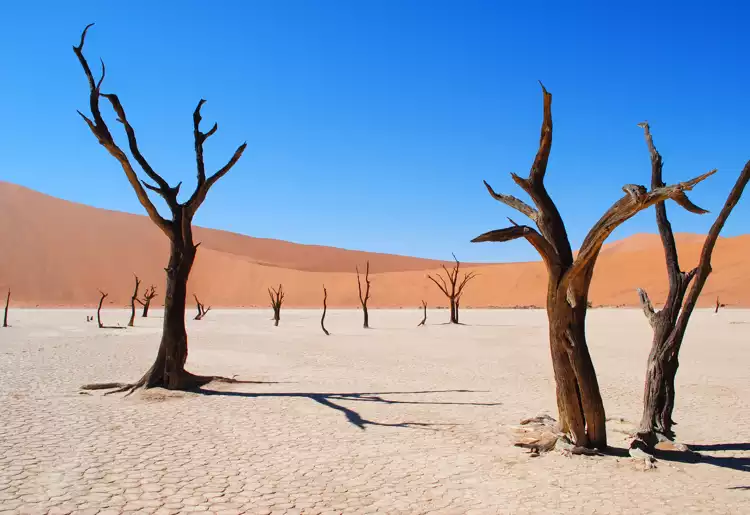 Discover Windhoek: The Ultimate Sober City Guide for Mindful Adventures in Namibia 1 discover-windhoek-the-ultimate-sober-city-guide-for-mindful-adventures-in-namibia