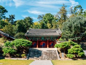 sober city guide discover gwangju south koreas vibrant alcohol free experiences