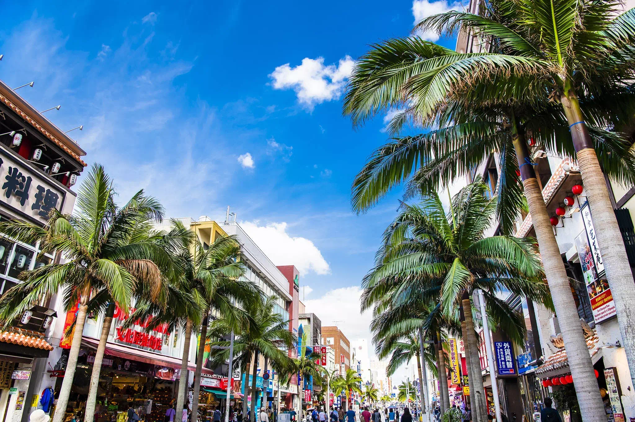 Photo of A street lined with palm trees and various shops under a blue sky with clouds. | Wander Sober