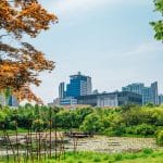 the ultimate sober city guide goyang south korea culture nature and wellness