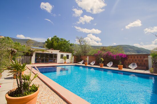 Top Sober-Friendly Hotels in Tlacolula: Your Guide to Wellness and Tranquility 1 top-sober-friendly-hotels-in-tlacolula-your-guide-to-wellness-and-tranquility